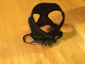 Harness Small Size