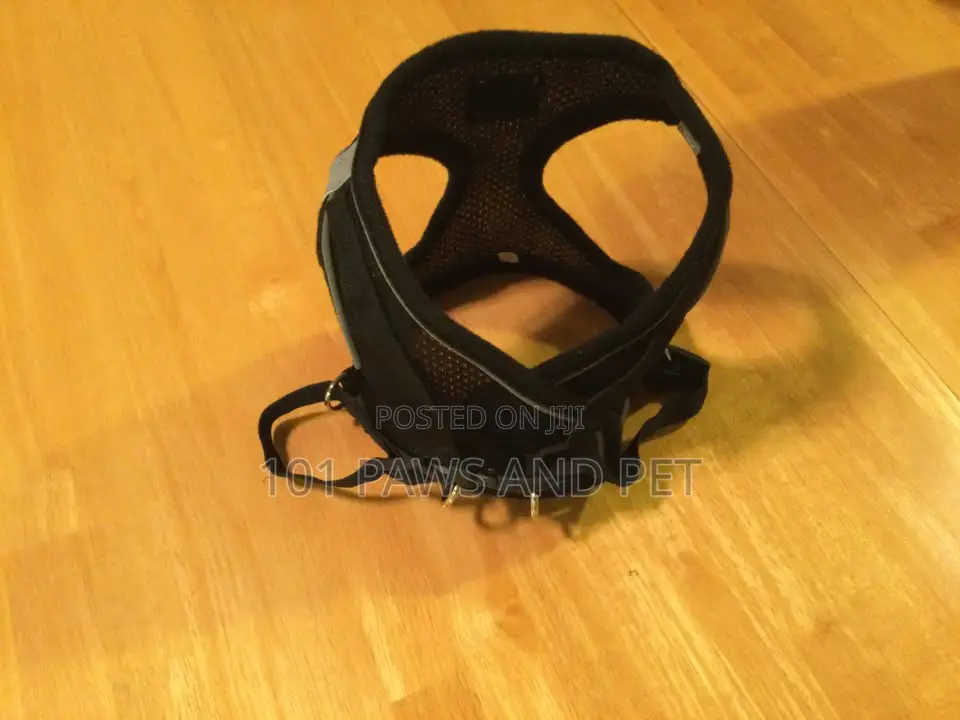 Harness Small Size
