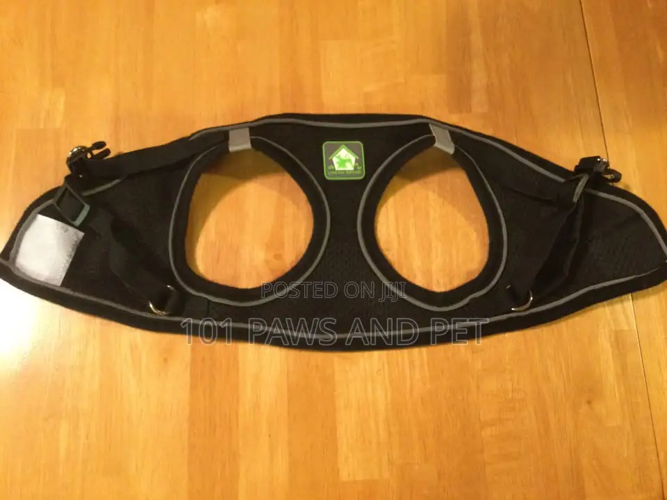 Harness Small Size