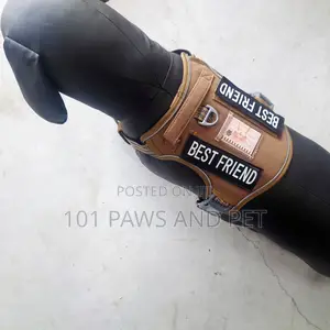 Harness Small Size