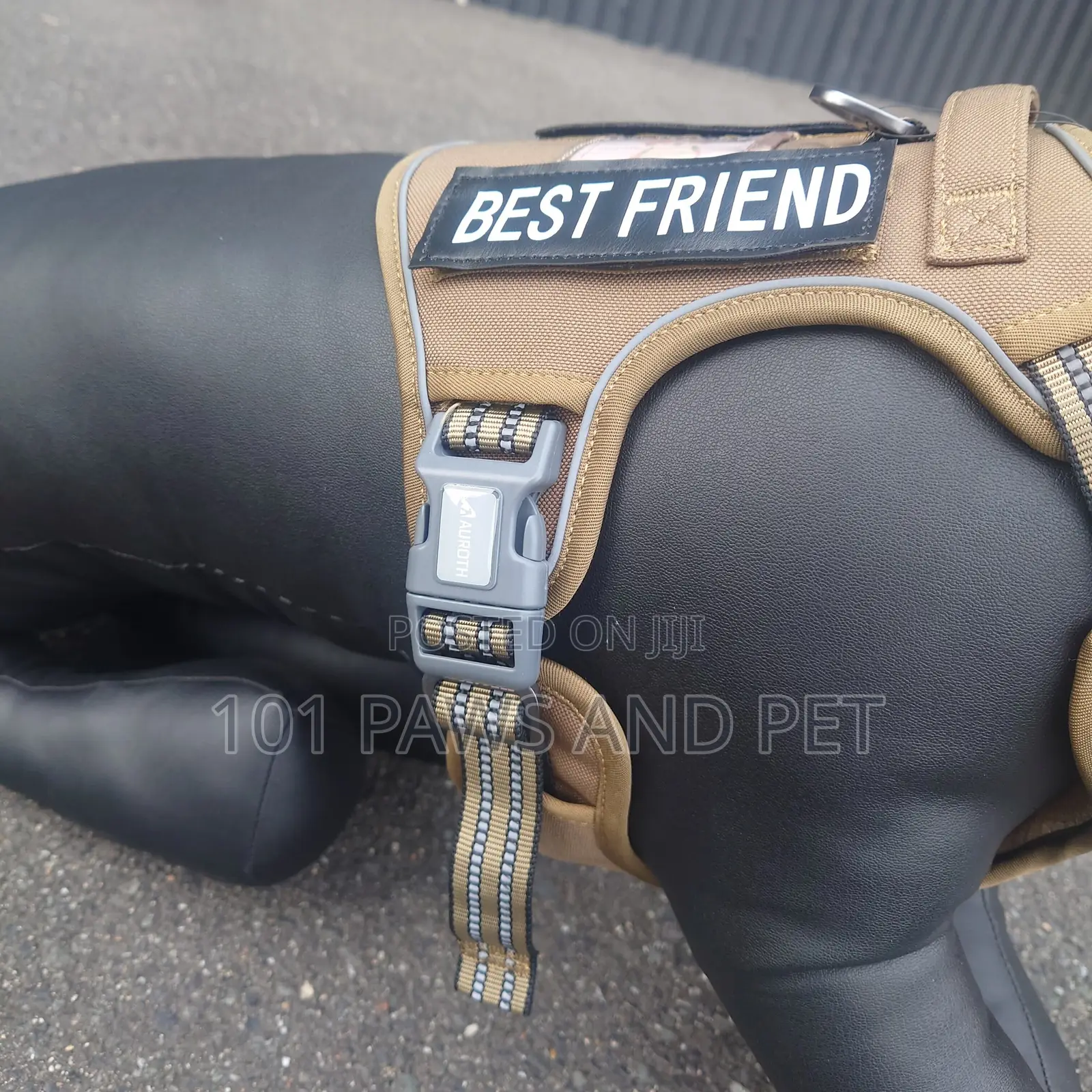 Harness Small Size