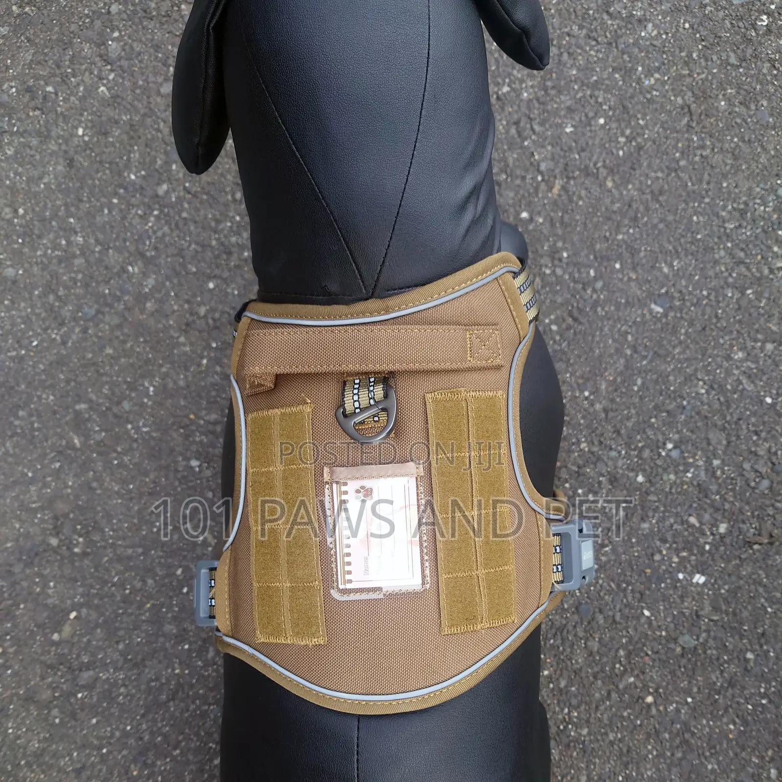 Harness Small Size