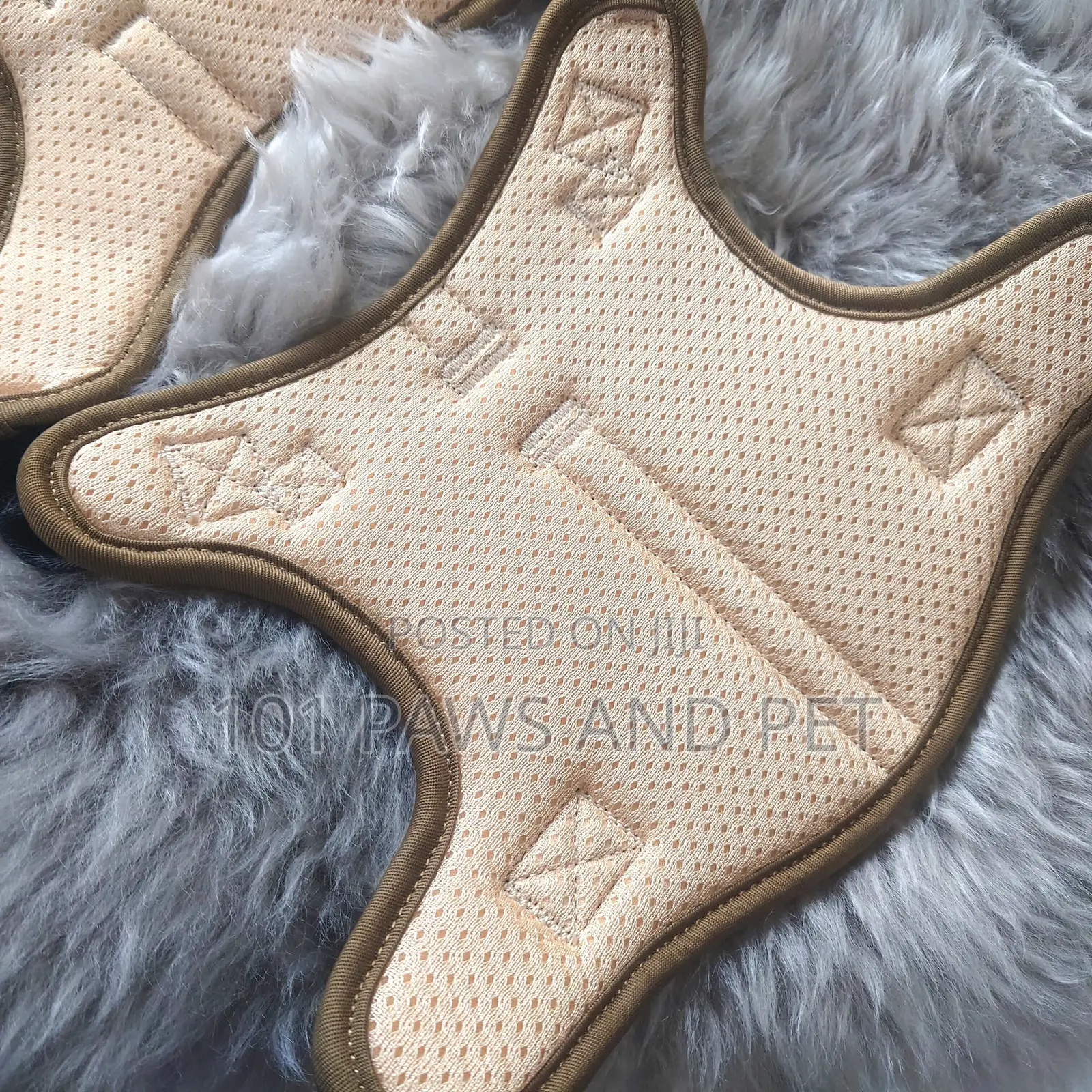 Harness Small Size