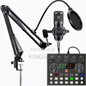 Professional Condenser Microphone