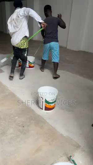 Painting Ceilings Wall Inside and Outside