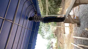 Canopy Manufacturers