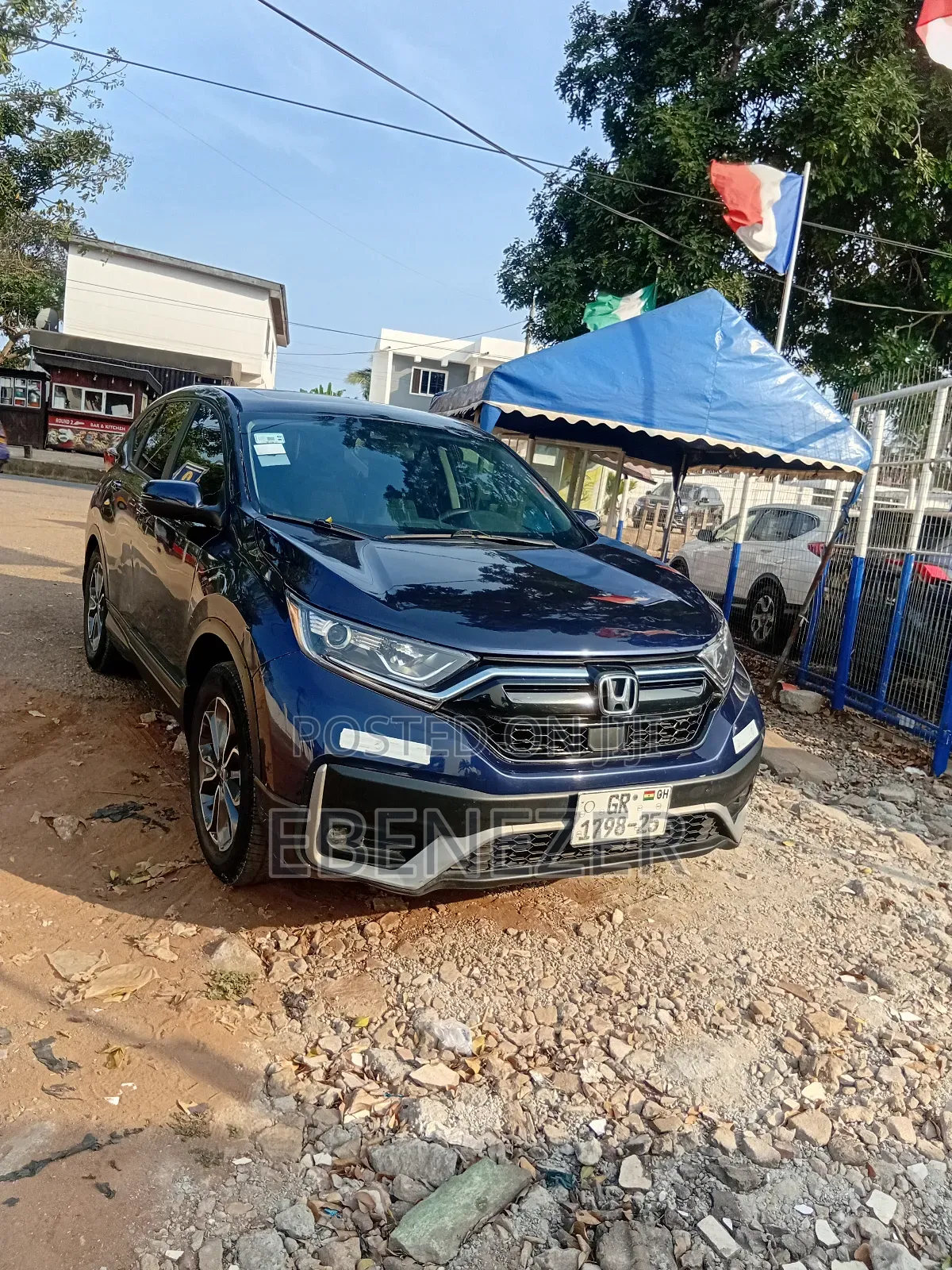 Cars Rentals