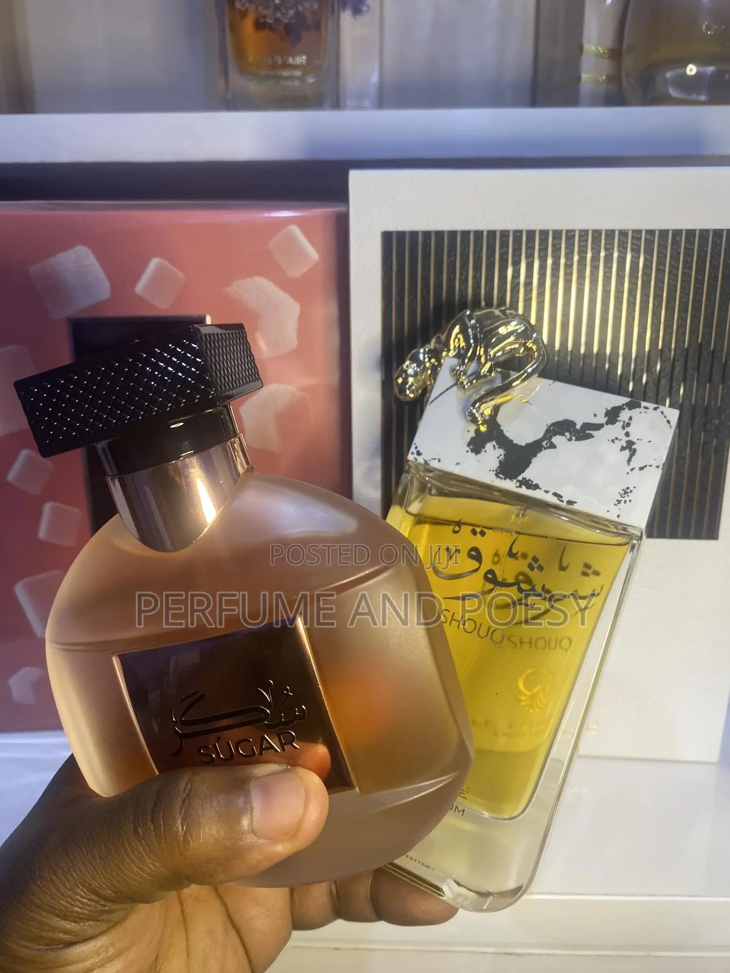 Shouq and Oxana Sugar Combo