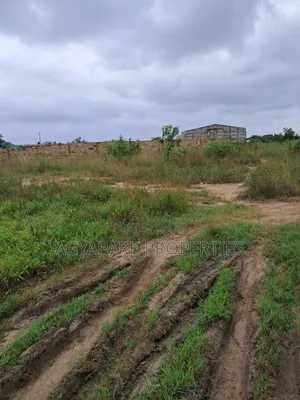 Half Plot of Land
