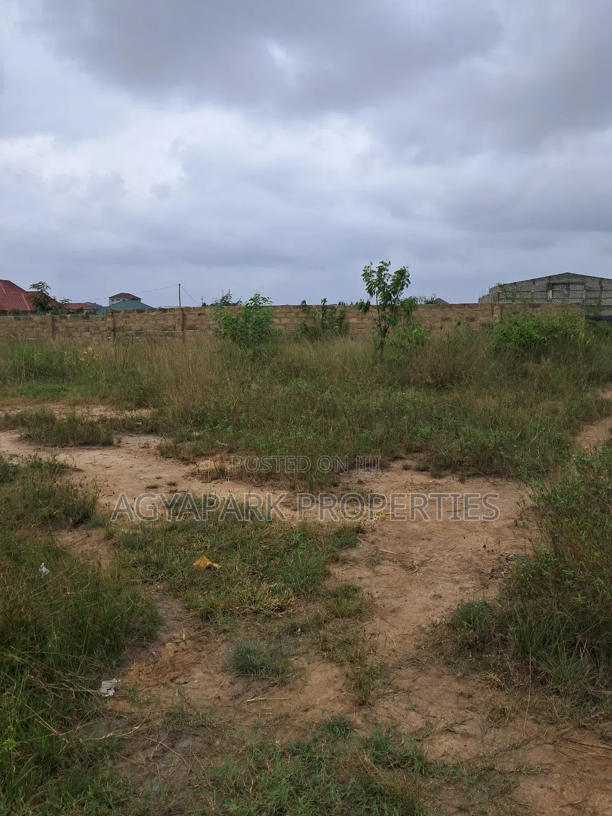 Half Plot of Land