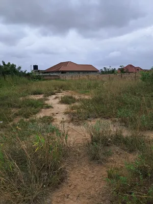Half Plot of Land
