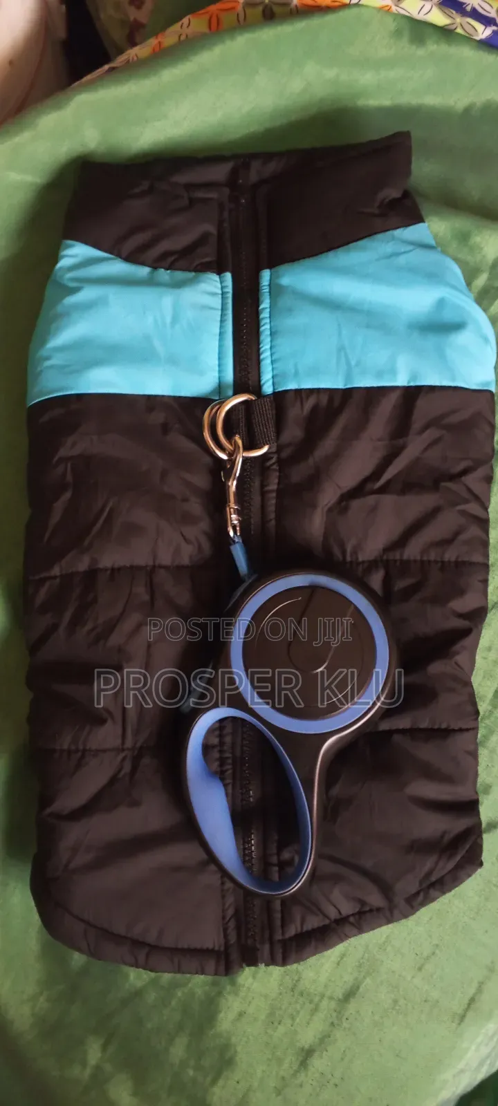 Pet Accessories