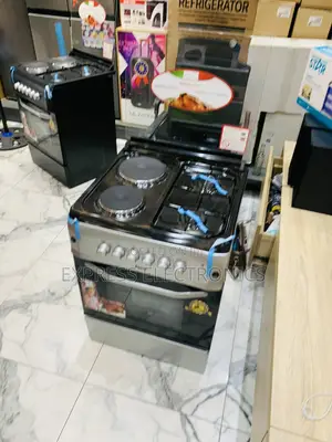 Sliver —-2*2 Gas Electric Cooker Oven 60–60 Ferre