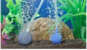 Solar Aquarium Oxygen Air Pump. Electric And Solar Charging