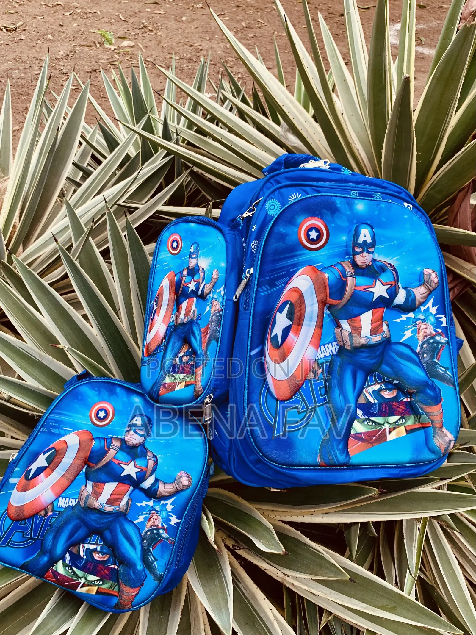 3 in 1 School Bag