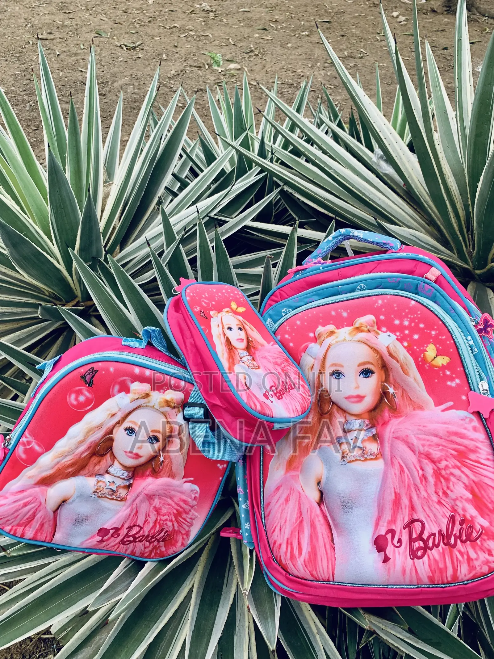 3 in 1 School Bag