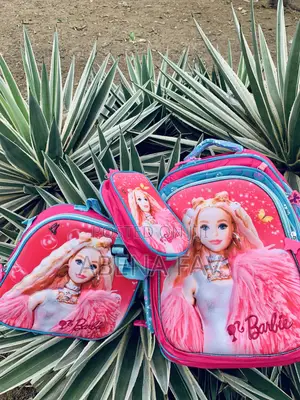 3 in 1 School Bag