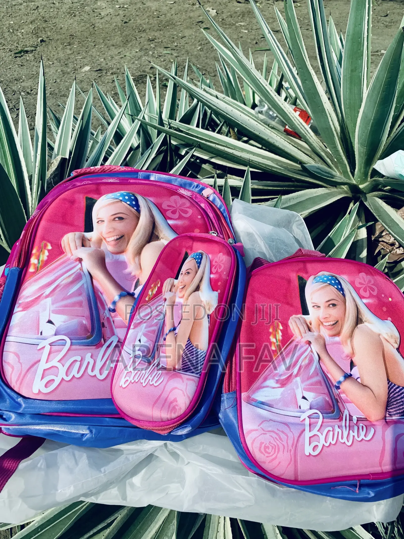 3 in 1 School Bag