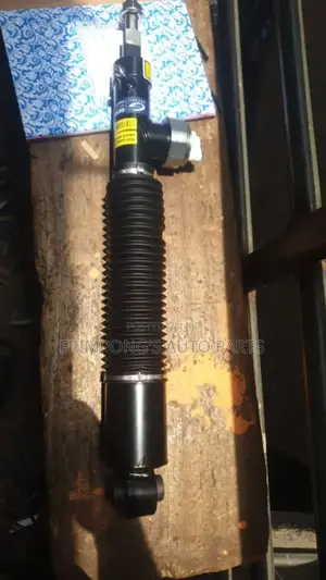 Nissan Petrol 2016 Back Shocks Absorbers Original