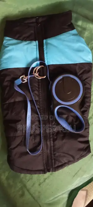 Pet Accessories