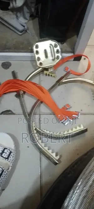 Climbing Shoe