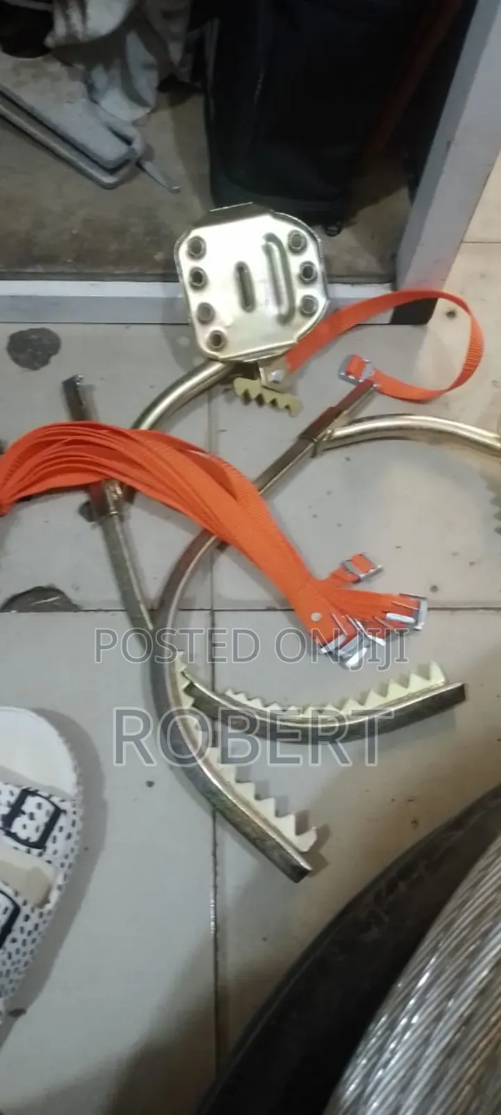 Climbing Shoe