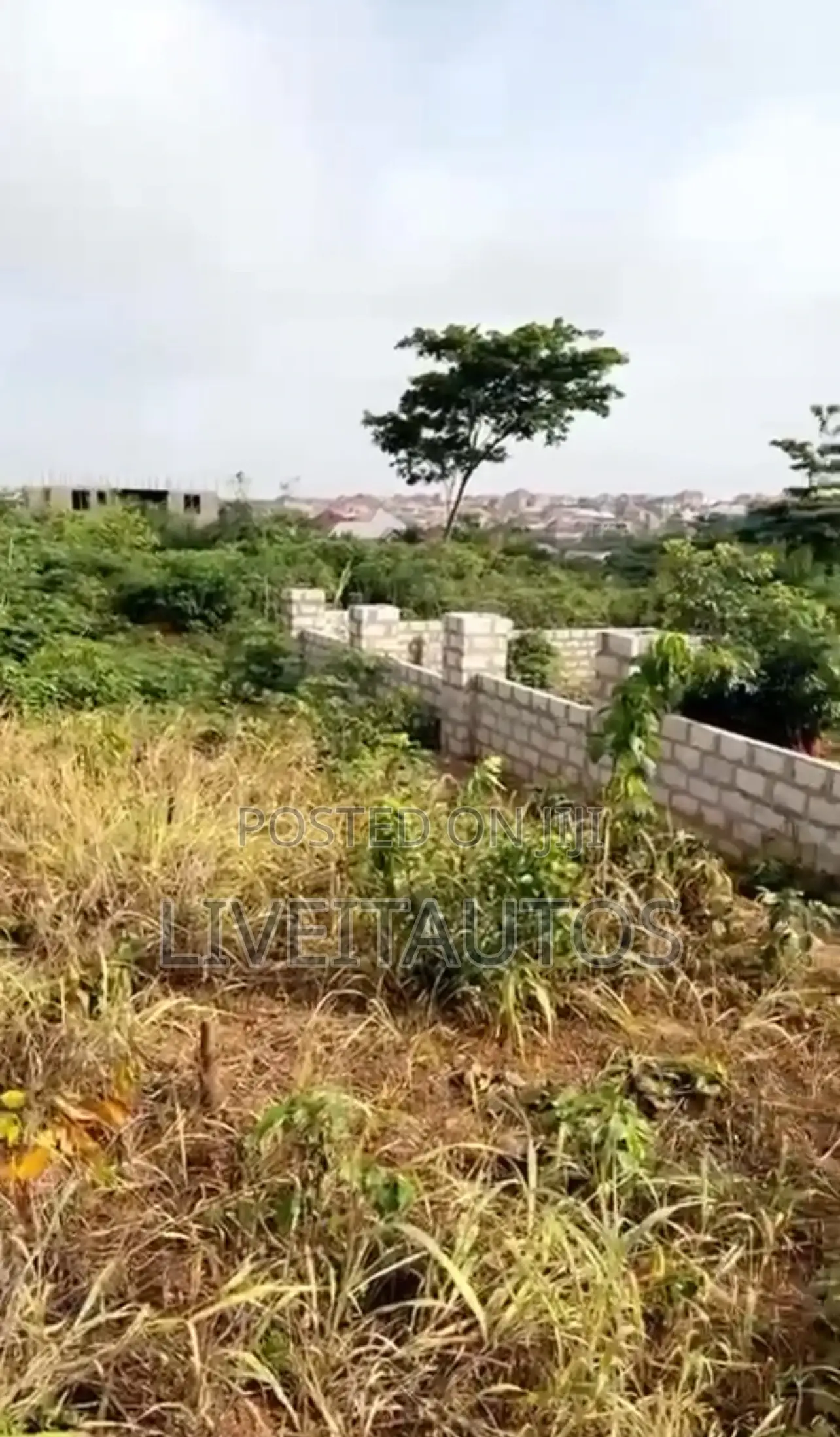 Land for Sale