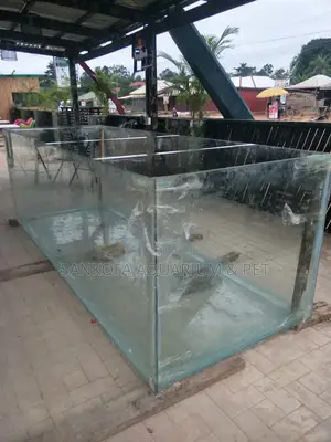 We Build Big Aquariums for Fish Pond