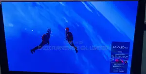 G4 Brightness Booster, 120 / 144 Hz Perfect Black Oled Lg 55 Inches Tv