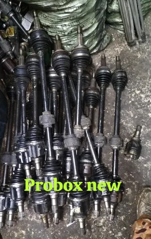 Proboscis Shaft