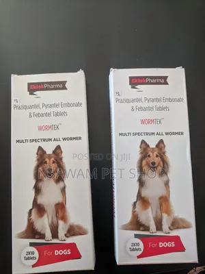 Wormtek Tablet