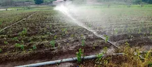 Borehole Drilling and Farm Irrigation