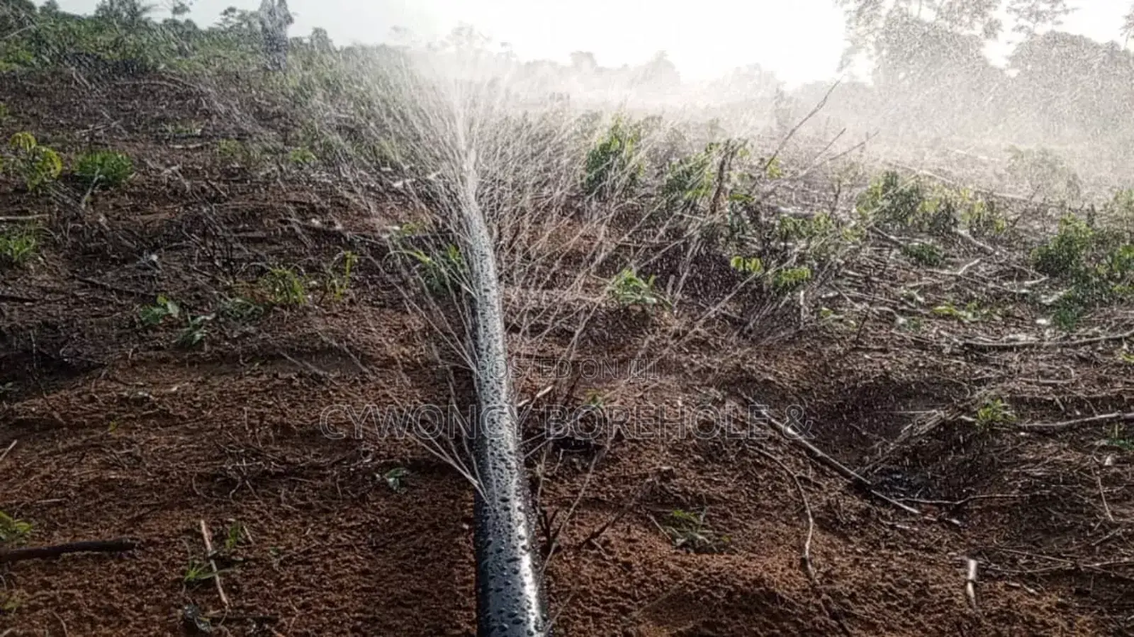 Borehole Drilling and Farm Irrigation