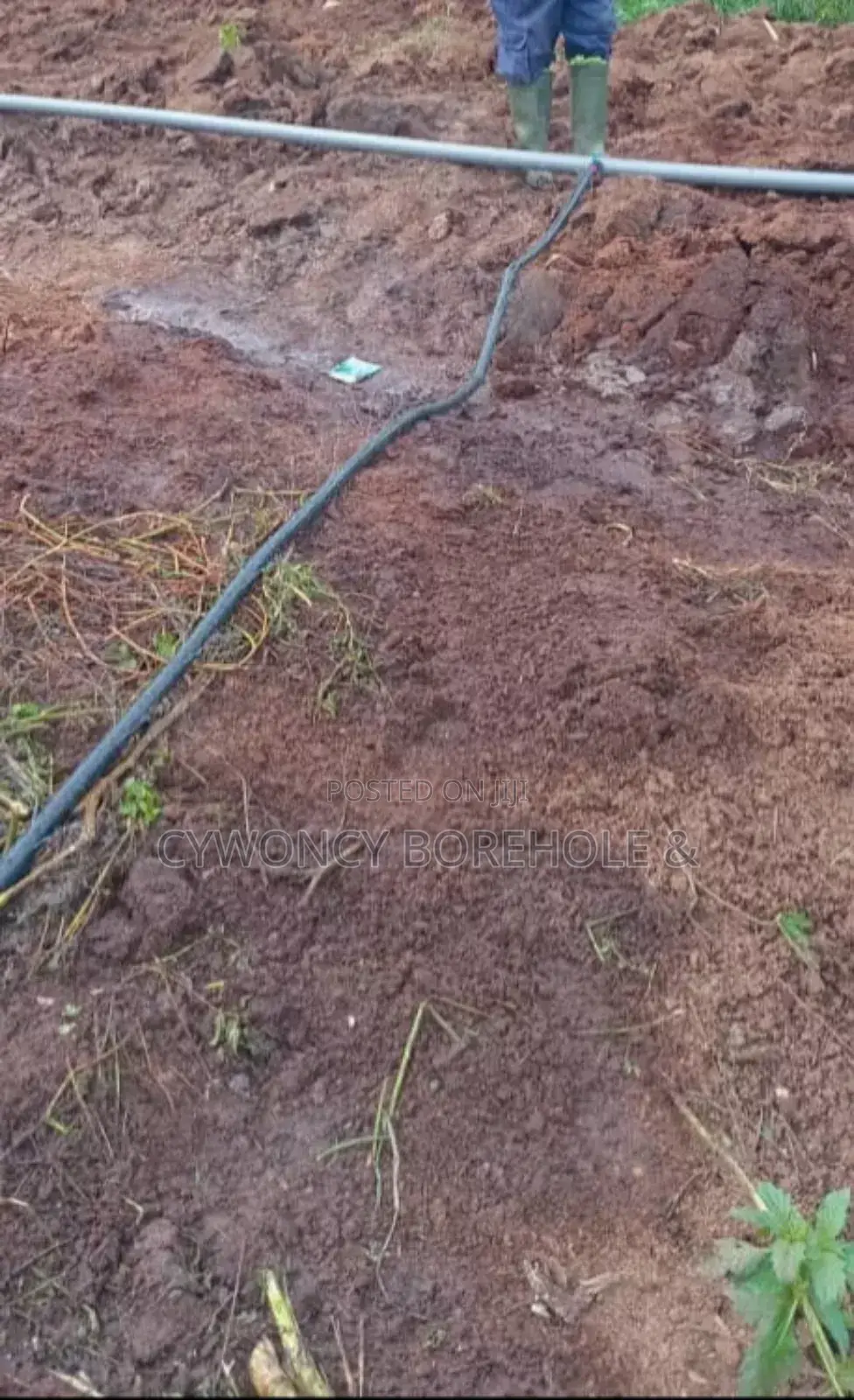 Borehole Drilling and Farm Irrigation