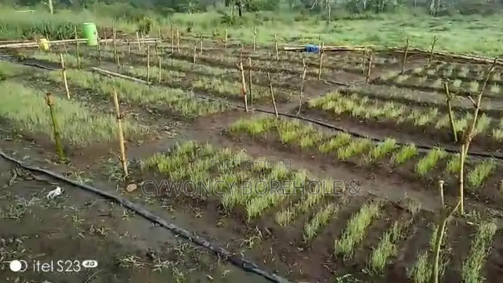 Borehole Drilling and Farm Irrigation