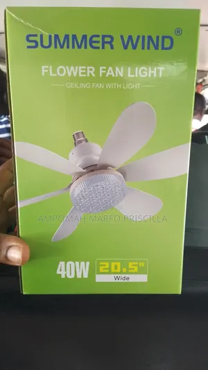 Lamp Holder Ceiling Light With Fan