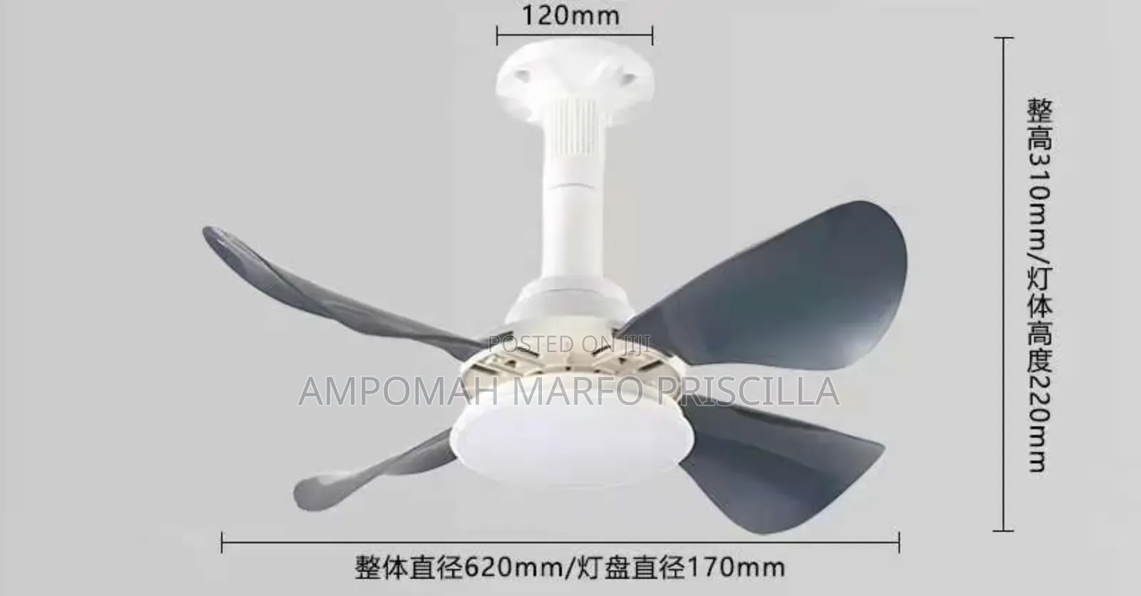 Lamp Holder Ceiling Light With Fan