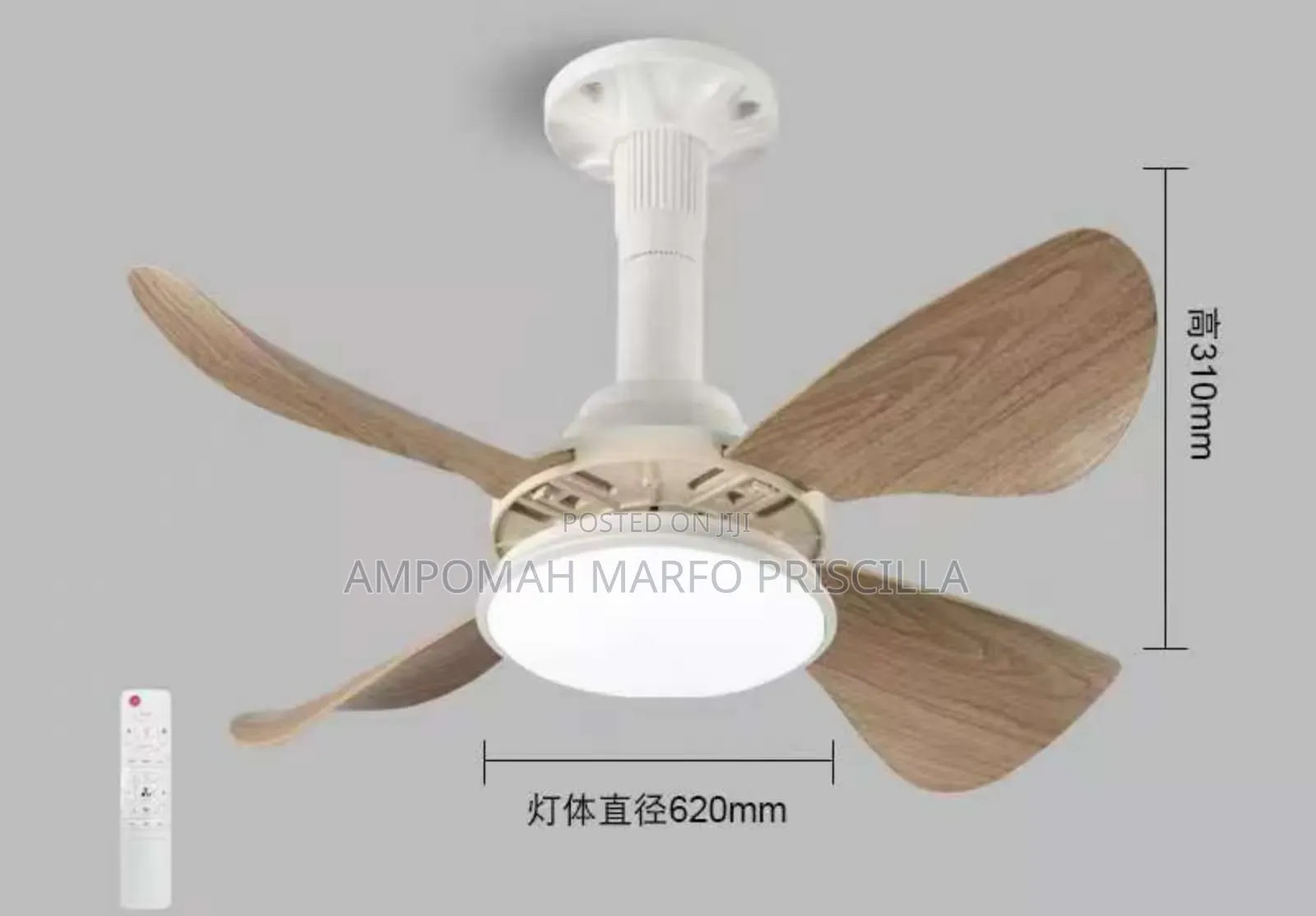 Lamp Holder Ceiling Light With Fan