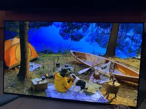 Lg G4 Oled 55 Inches Smart Brightness Booster 144 Hz Gaming Hdr Tv