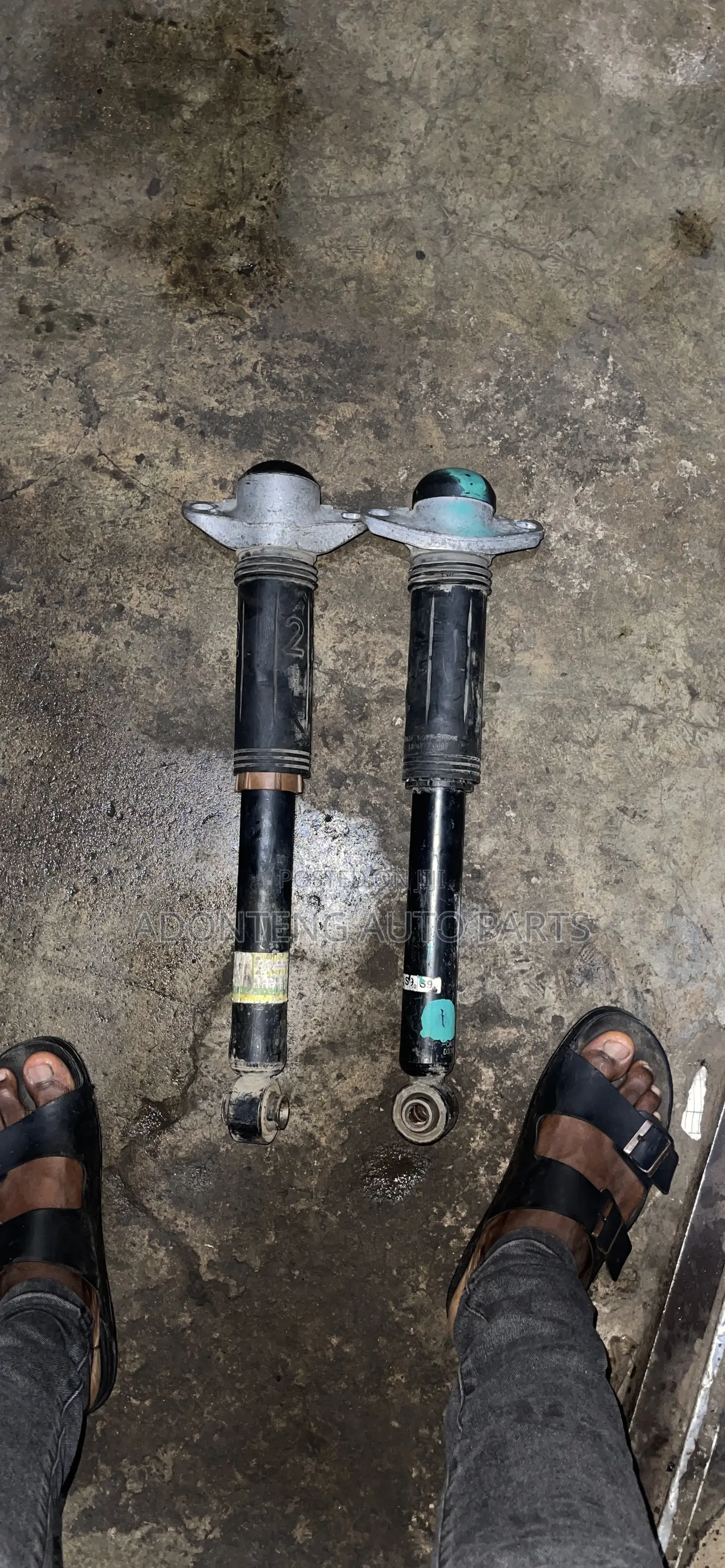 Toyota CHR/Highlander/Camry /Rav4 2019-2024 Back Shocks