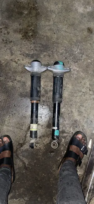 Toyota CHR/Highlander/Camry /Rav4 2019-2024 Back Shocks