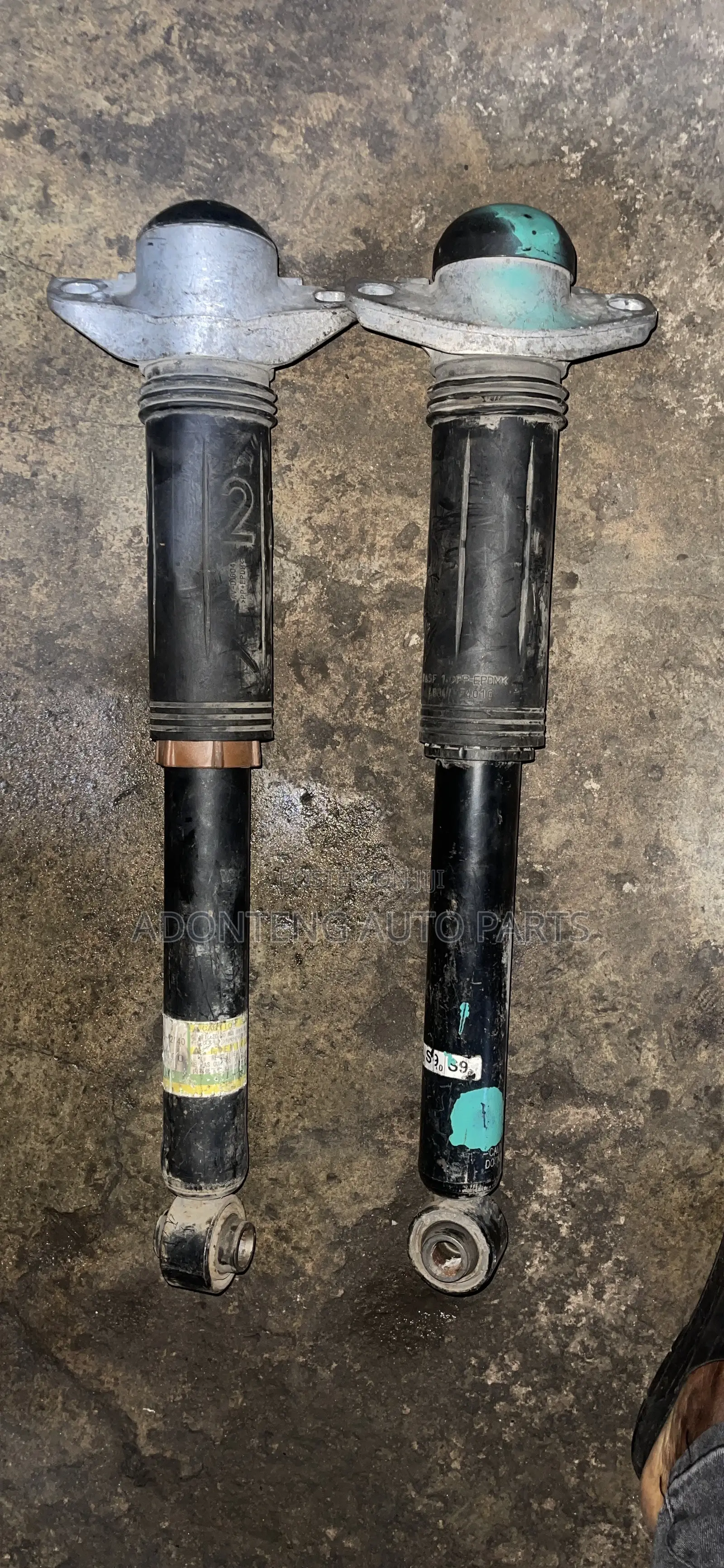 Toyota CHR/Highlander/Camry /Rav4 2019-2024 Back Shocks