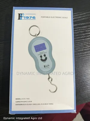 Electronic Scale