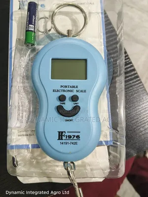 Electronic Scale