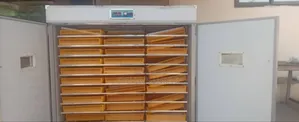 Quality Foreign Incubator at Affordable Price