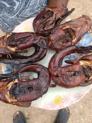 Fresh Catfish