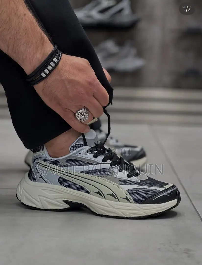 Puma Morphic