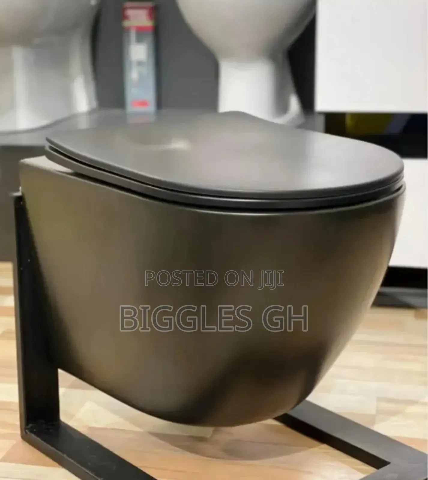 Black Concealed Wc