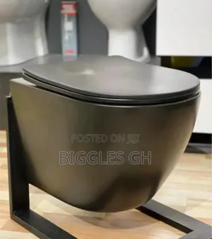 Black Concealed Wc