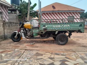 Luojia Cargo Tricycle 2021 Green